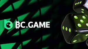Exploring the Exciting World of Games BC.Game 9